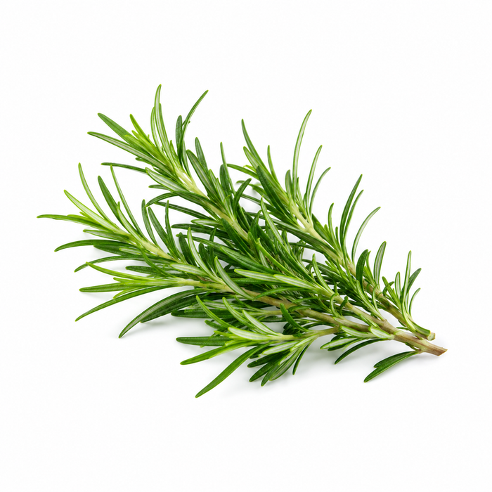 Rosemary