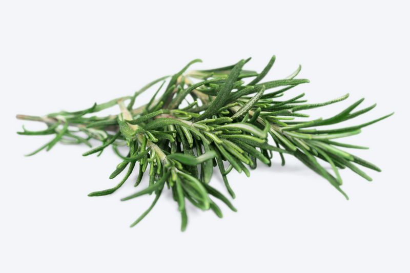 Rosemary